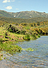 Parc Natural de l'Albera